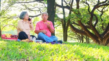 Yaz bahçesinde mutlu bir emekli çift: Rahat ve gölgeli atmosfer bahçesinde mutluluk. Hobileri olan, telefonda konuşan ve birlikte abur cubur yiyen yaşlı bir çift..