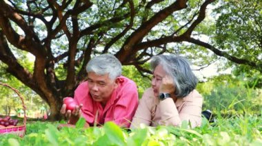 Yaz bahçesinde mutlu bir emekli çift: Asyalı yaşlı bir çift gökyüzünden kırmızı kalp tutuyorlar kameraya bakıp birlikte sevgi ve mutluluk ifade ediyorlar parkta kamp yaparken..