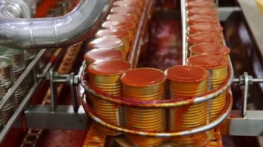 Pişmiş sardalya ya ya da alüminyum kutulara doldurulmuş uskumrular, temiz taşıma bantları, domates veya modern endüstriyel konserve fabrikasındaki soğutma sosu doldurma makinesinden gönderiliyor..