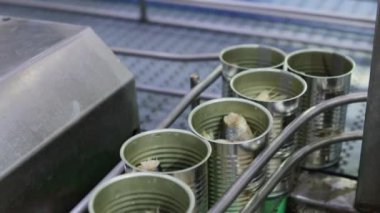 Üst manzara alüminyum kutulara doldurulmuş sardalya ya ya da uskumru konserve fabrikasındaki domates sosu makinesine temiz üretim bandı ile gönderiliyor..