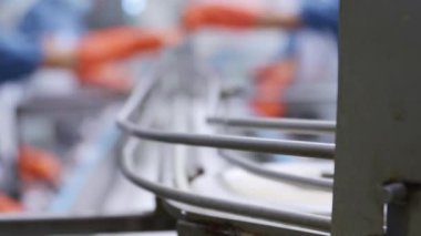 Büyük fabrika üretim hattı denetleyicisi üretim kalitesini kontrol ediyor ve konserve uskumrusunun konserve sosu doldurma noktasına etkili bir şekilde nakledilmesini denetliyor..