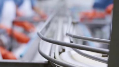 Büyük fabrika üretim hattı denetleyicisi üretim kalitesini kontrol ediyor ve konserve uskumrusunun konserve sosu doldurma noktasına etkili bir şekilde nakledilmesini denetliyor..