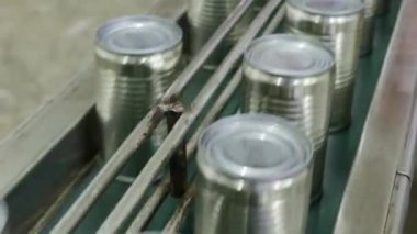 İçinde uskumru dolu alüminyum teneke kutular ve temiz kapaklar modern bir konserve fabrikasının temizliği için sıcak su temizleme noktasına bir taşıyıcı bant ile taşınır..