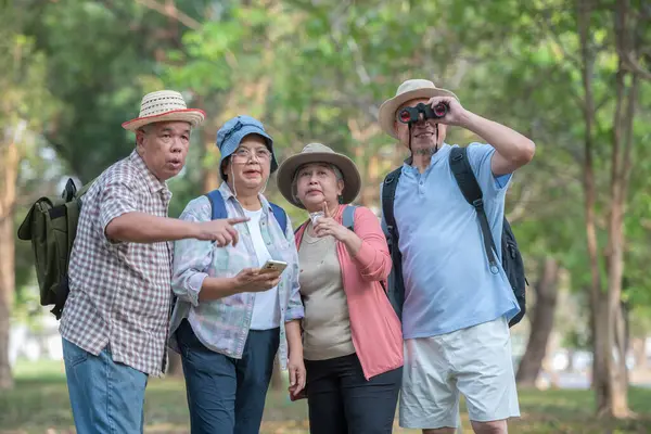 Tour guides take tourists on a walking tour of the forest park. Inside a national park in Thailand The idea of traveling in retirement