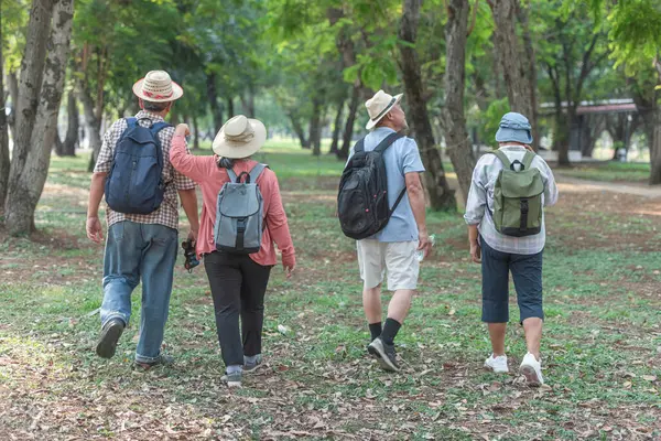 A group of Asian tourists Take a backpack and walk through nature in one of Thailand\'s forest parks. and important places Ideas for traveling to have fun in retirement