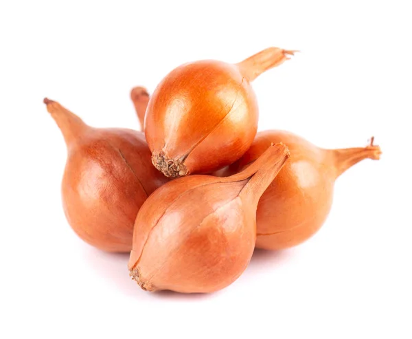 Brown Mini Onions Isolated White Background Raw Onion Bulbs Cultivation — Stock Photo, Image