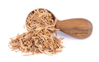 Beyaz arka planda izole edilmiş, tahta kaşıkta Catuaba kabuğu. Trichilia catigua kabuğu. Chuchuasha, Tatuaba, Pau de Reposta, Piratancara ve Caramuru