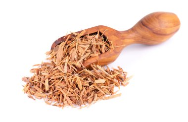 Beyaz arka planda izole edilmiş, tahta kaşıkta Catuaba kabuğu. Trichilia catigua kabuğu. Chuchuasha, Tatuaba, Pau de Reposta, Piratancara ve Caramuru