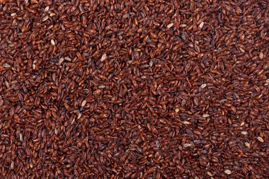 Psyllium seeds background. Plantain or Plantago psyllium.