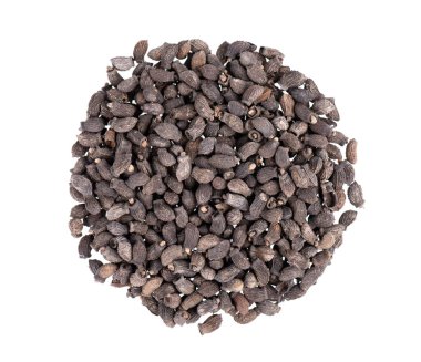 Borage seeds isolated on white background. Borago officinalis seeds. Top view