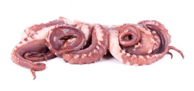 Beyaz arkaplanda mürekkep balığı dokunaçları izole edilmiş. Taze çiğ dev mürekkep balığı.