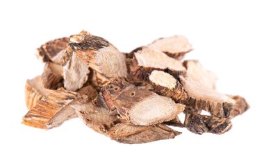 Beyaz arka planda kalamar kökü izole edilmiş. Tatlı bayrak, sallanma ya da misk faresi kökü, vasambu. Acorus calamus 'un kuru kökü