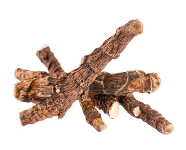 Beyaz arka planda kalamar kökü izole edilmiş. Tatlı bayrak, sallanma ya da misk faresi kökü, vasambu. Acorus calamus 'un kuru kökü