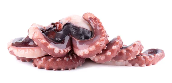 Tentáculos Calamar Aislados Sobre Fondo Blanco Calamar Gigante Crudo Fresco —  Fotos de Stock
