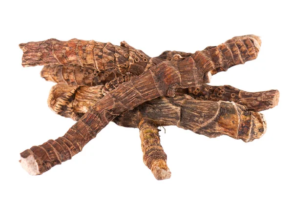 stock image Calamus root isolated on white background. Sweet flag, sway or muskrat root, vasambu. Dry root of Acorus calamus