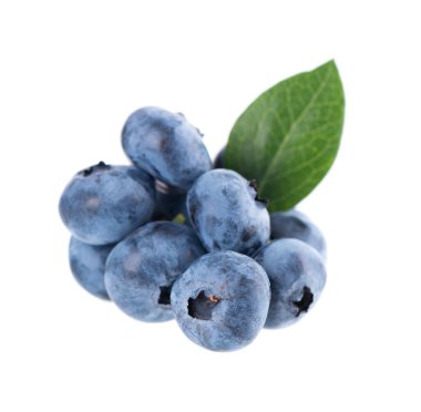 Yeşil yapraklı taze yaban mersini, beyaz arka planda izole edilmiş. Böğürtlen ya da böğürtlen. Kesme yolu