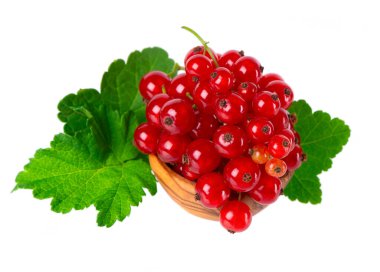 Beyaz arka planda kırmızı frenk üzümü izole edilmiş. Frenk üzümü ya da Ribes rubrum olgun böğürtlen ve ahşap kasede yeşil yapraklar.