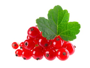 Beyaz arka planda kırmızı frenk üzümü izole edilmiş. Frenk üzümü ya da yeşil yapraklı olgun böğürtlen.