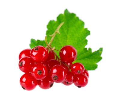 Beyaz arka planda kırmızı frenk üzümü izole edilmiş. Frenk üzümü ya da yeşil yapraklı olgun böğürtlen.