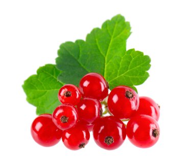 Beyaz arka planda kırmızı frenk üzümü izole edilmiş. Frenk üzümü ya da yeşil yapraklı olgun böğürtlen.