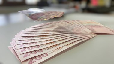 Türk Lirası, Türk Parası (Türk Parası )