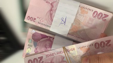 Türk Lirası, Türk Parası (Türk Parası )