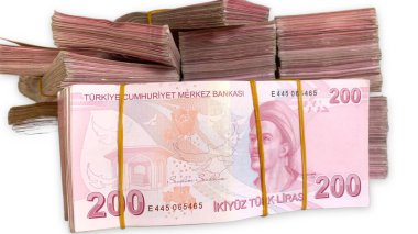 Türk Lirası, Türk Parası (Türk Parası )