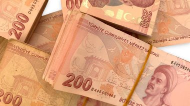 Türk Lirası, Türk Parası (Türk Parası )