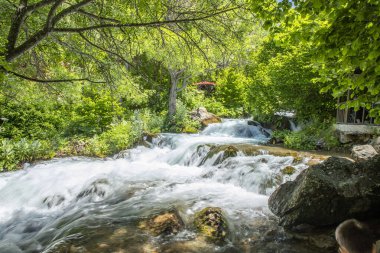 Tomara Şelalesi Milli Doğa Parkı, Gumushane, Türkiye (Türk Tomara Selalesi, Siran, Gumushane)