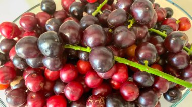 Prunus laurocerasus veya Otto Luyken (kara yemis) meyveleri doğadan toplanır