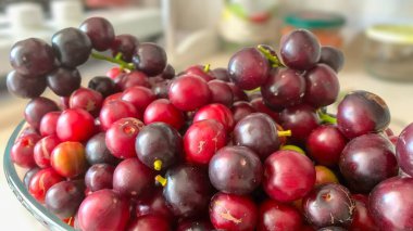 Prunus laurocerasus veya Otto Luyken (kara yemis) meyveleri doğadan toplanır