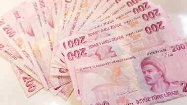 Türk Parası (Türk Türkçesi parasi, Türkiye Lirasi)