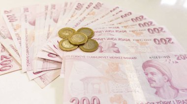 Türk Parası (Türk Türkçesi parasi, Türkiye Lirasi)