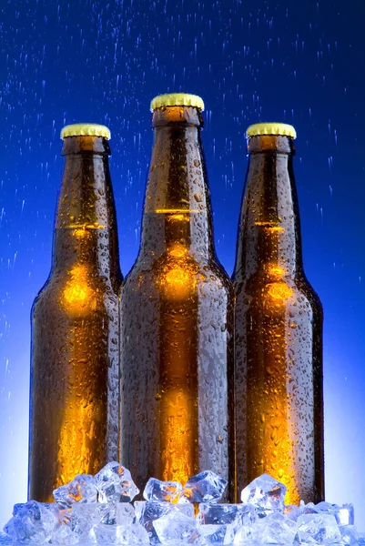 Bottiglie Birra Ghiaccio Esempio — Foto Stock