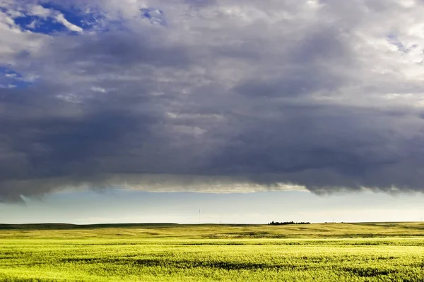 Karanlık Fırtına Bulutları Grasslands Üzerinden — Stok fotoğraf