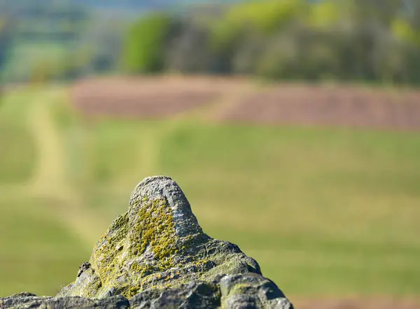 stock image Rocky outcrop in Bradgate Park, Leicestershire, UK