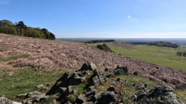 Bradgate Park 'taki Rocky arazisi, Leicestershire, Doğu Midlands, İngiltere