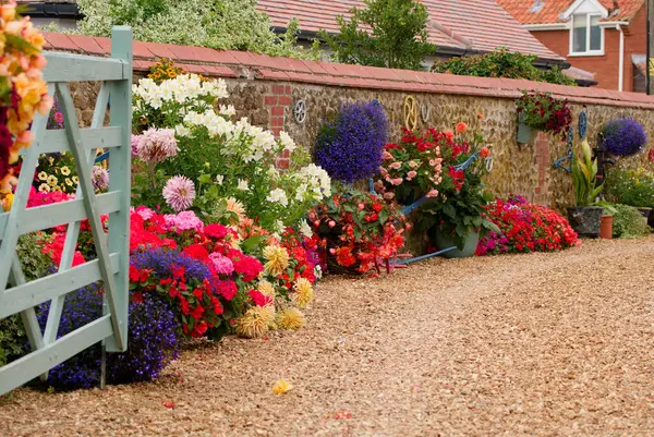 stock image Variety of flowering plants on a gravel driveway