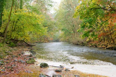 Shallow river flowing through woodland in Autumn clipart