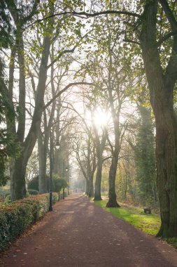 Autumn tree lined path in Hall Leys Park, Derbyshire, UK clipart