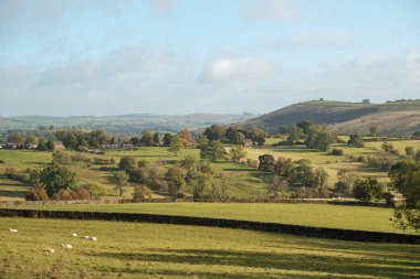 Staffordshire, İngiltere 'deki kırsal manzara.