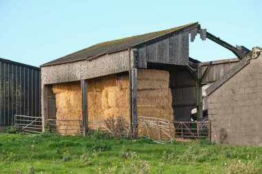 Straw bales in a storm damaged farm barn clipart