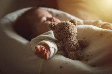 Sleeping newborn baby lying with a soft teddy bear under the blanket in warm, cozy sunlight. Childhood and parenting concept. High quality photo clipart