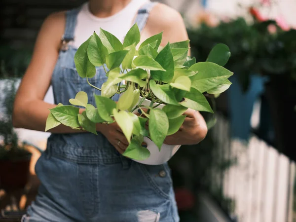 バルコニーに植物を植え 都市環境で緑の生活を育てている女性 — ストック写真