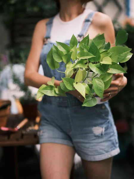 一位妇女在阳台上种植园艺植物 在城市环境中培育绿色生活 — 图库照片