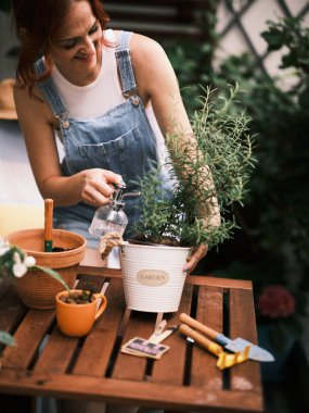 Bahçıvanın ellerini, saksı biberiyesini sularken, evde bahçıvanlık rutinlerini vurguluyor.