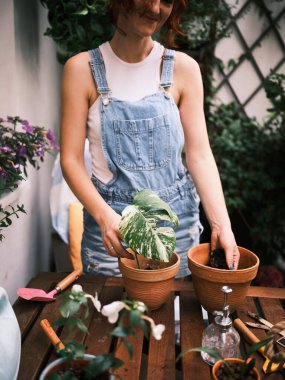 Evde bahçe işleriyle uğraşan birey, aletlerle çevrili çeşitli bir bitkiyi saklamaya hazırlanıyor.