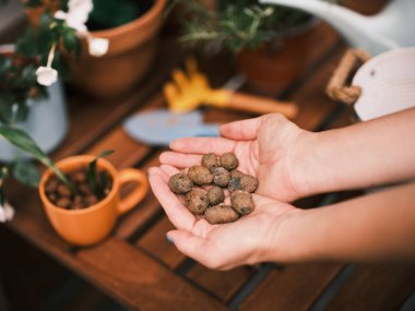 Fotoğraf, bahçıvanlık deneyimini vurgulayarak, yakınlarda bahçe aletleriyle fideleri tutan bir eli vurguluyor.