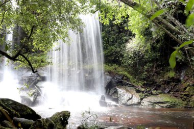 Güzel Tham Sor Nuo Şelalesi yağmur mevsiminde yağmur ormanlarında, ünlü doğa yağmur ormanları arka planında, Phu Kradueng, Loei, Tayland.