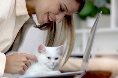 Şirin beyaz İran kedisi dizüstü bilgisayarda oturuyor, ev sahibi kadın mutlu pofuduk evcil hayvanıyla çalışıyor, sevimli uzun saçlı kediciği olan kız.